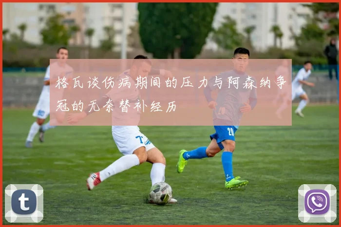 格瓦谈伤病期间的压力与阿森纳争冠的无奈替补经历