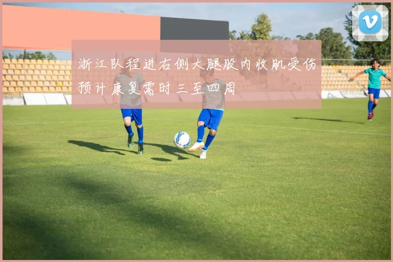 浙江队程进右侧大腿股内收肌受伤预计康复需时三至四周